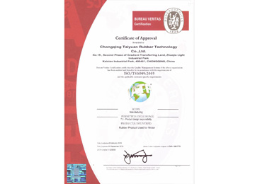 BV  certificate in English